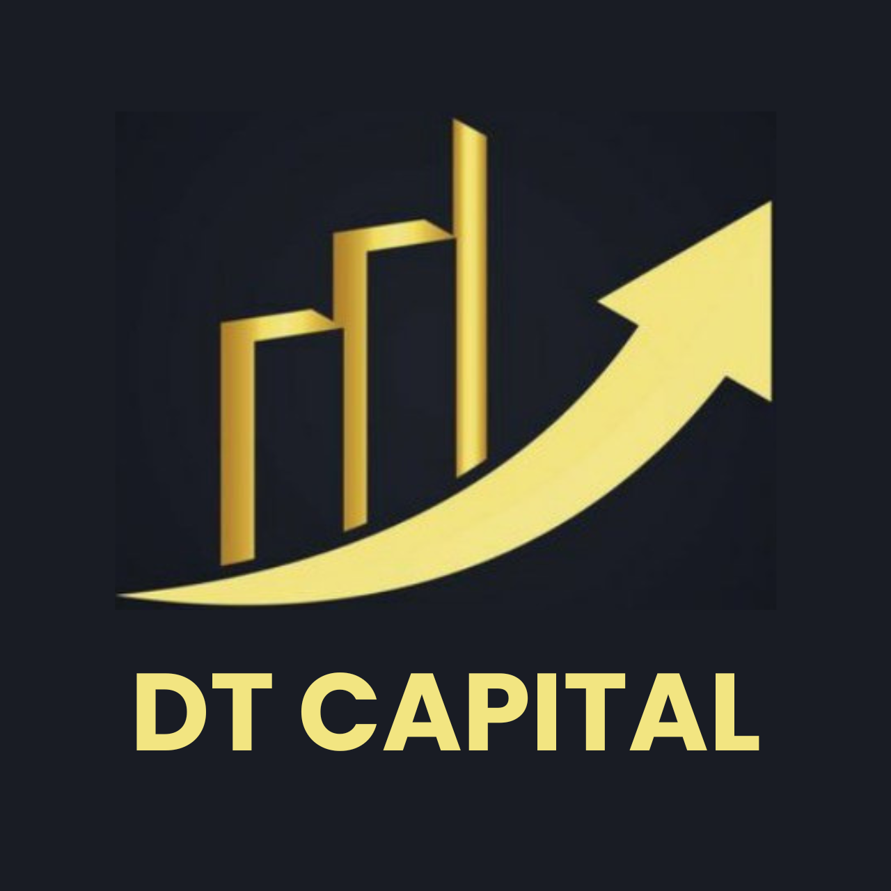 DT CAPITAL